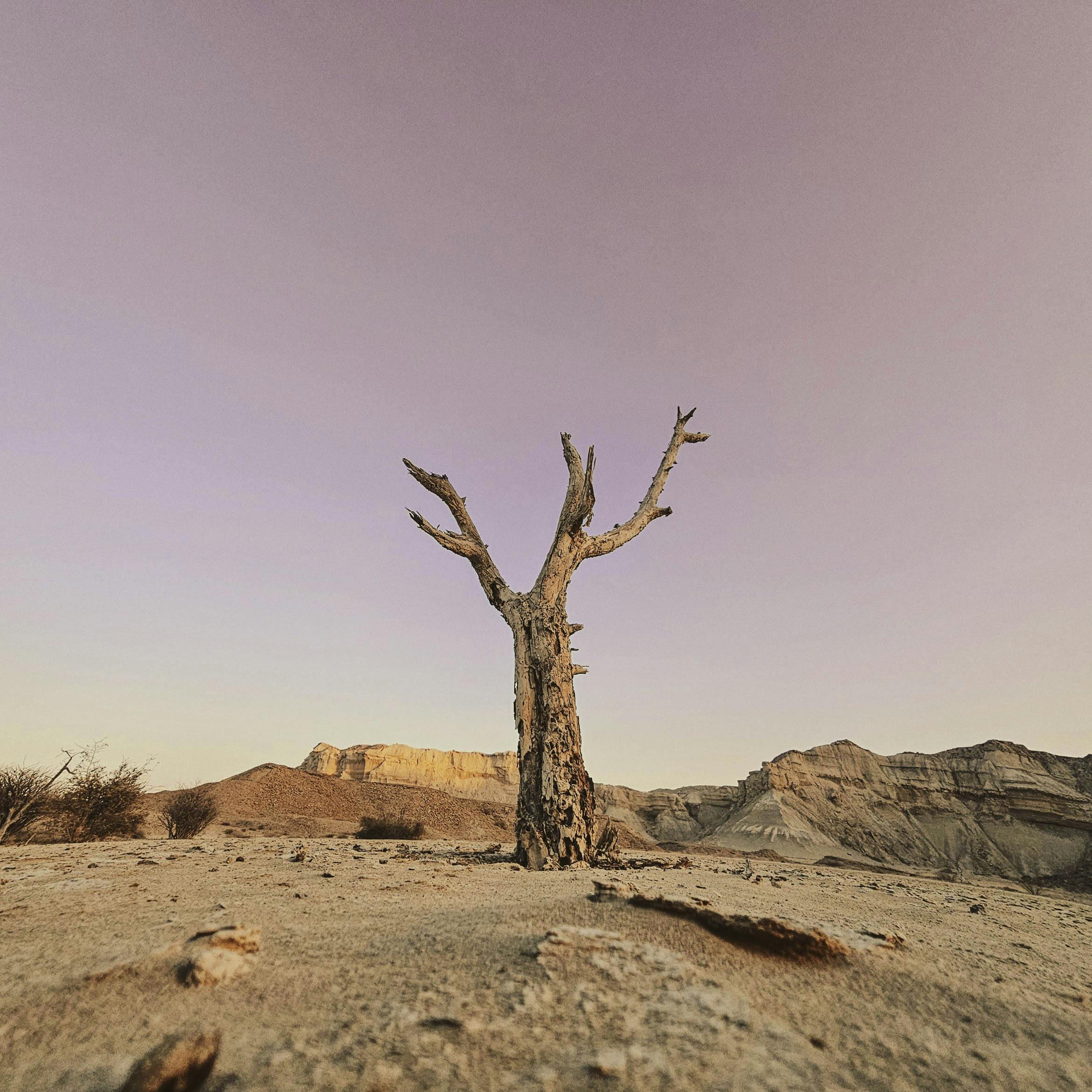 Climate Change Assessment